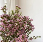 오로지Oh,Rosie | 작가 피드 오로지Oh,Rosie