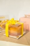 2TAILS 투테일스 | 스토리  2TAILS 투테일스