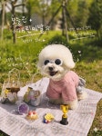 개린이날 선물 구디백 강아지유치원 답례품 강아지쿠키 | 아이디어스 개린이날 선물 구디백 강아지유치원 답례품 강아지쿠키