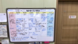 백봉설원(영월백봉오골계농장) | 작가 피드