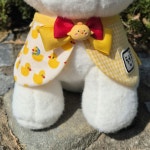 [가정의달 선물]강아지, 고양이 유치원 케이프🐥 | 아이디어스 [가정의달 선물]강아지, 고양이 유치원 케이프🐥