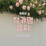 몽몽샵 작가 피드 | 아이디어스