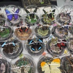 나비정원 | 작가 피드