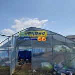 양평덕암농장(유기농 전문재배 농부) | 피드 양평덕암농장(유기농 전문재배 농부)