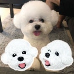 비숑 커스텀 석고 방향제 | 아이디어스 비숑 커스텀 석고 방향제