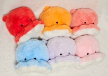 포롱숲 | 작가 피드