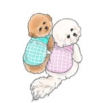 🎀반려동물 드로잉 주문제작🎀 | 아이디어스 🎀반려동물 드로잉 주문제작🎀