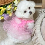 [맞춤가능] 레니 강아지 원피스 [핑크] | 아이디어스 [맞춤가능] 레니 강아지 원피스 [핑크]