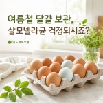 이노바이오팜 작가 피드 | 아이디어스