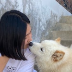 핸포포 Hands for Paws | 판매중인 작품 핸포포 Hands for Paws