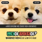 멍이방앗간 | 스토리  멍이방앗간