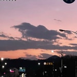 유어헤븐 - YOUR HEAVEN | 구매후기 유어헤븐 - YOUR HEAVEN