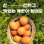 미래팜스 | 작가 피드