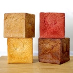 비그레인 | 작가 피드