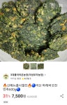 3대를이어온농장(의성부자농장) | 피드 3대를이어온농장(의성부자농장)