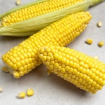 🌽옥수수의 고장 괴산🌽 달다구리 초당옥수수 [원산지:작품정보참조] | 아이디어스 🌽옥수수의 고장 괴산🌽 달다구리 초당옥수수 [원산지... 