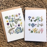 🌿뭘좋아할지몰라서다넣은*압화카드 | 아이디어스 🌿뭘좋아할지몰라서다넣은*압화카드