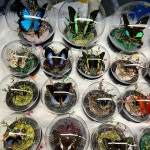 나비정원 | 작가 피드