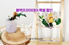 프롬플라워 from flower | 작가 피드 프롬플라워 from flower
