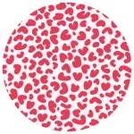 엔지투케이 | 작가 피드