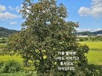 인씨네농장 | 피드 인씨네농장