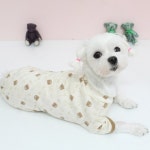 [맞춤가능] 올인원오가닉베어 애견의류 올인원 오가닉면 | 아이디어스 [맞춤가능] 올인원오가닉베어 애견의류 올인원 오가닉면