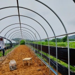 양평덕암농장(유기농 전문재배 농부) | 피드 양평덕암농장(유기농 전문재배 농부)