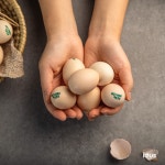 백봉설원(영월백봉오골계농장) | 작가 피드