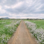 jj바농 | 작가 피드