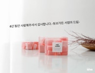 토브가든 | 스토리  토브가든