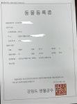 백봉설원(영월백봉오골계농장) | 작가 피드 백봉설원(영월백봉오골계농장)