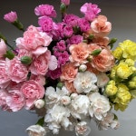 소원농장 | 작가 피드