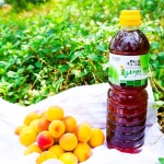 🍊5년숙성🍊익은 매실로 담은 달달한 매실청 | 아이디어스 🍊5년숙성🍊익은 매실로 담은 달달한 매실청