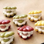 달달한댕 강아지 수제간식 마카롱 조개롱 6P | 아이디어스 달달한댕 강아지 수제간식 마카롱 조개롱 6P