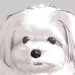 SE(에스이_드로잉) | 판매중인 작품 SE(에스이_드로잉)