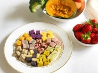 펫큐브 | 피드 펫큐브