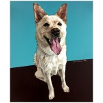 summer.petpainting | 아이디어스 - 핸드메이드, 수공예, 수제 먹거리 summer.petpainting