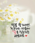 선물하는그녀율정 캘리그라피&수제도장 | 작가 피드 선물하는그녀율정 캘리그라피&수제도장