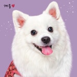 ✨고퀄🐶반려동물 그림 초상화 | 아이디어스 ✨고퀄🐶반려동물 그림 초상화