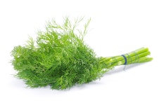 샐러드채소 주은농장 | 작가 피드