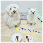 온새네 간식점 | 작가 피드