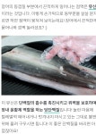전남장흥 무태장어 | 작가 피드