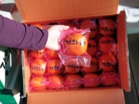 창원 가화농원 (농장지기 김형근) | 작가 피드 창원 가화농원 (농장지기 김형근)