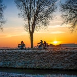 참샘골유정란 | 작가 피드