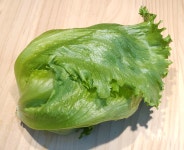 샐러드채소 주은농장 | 작가 피드