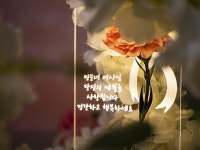 동해바다공방 | 작가 피드