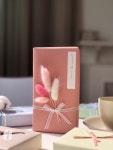 더모먼트 | 스토리  더모먼트