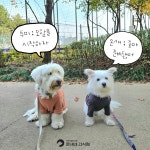 온새네 간식점 | 작가 피드