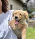 스튜디오한스[studiohans] | 작가 피드