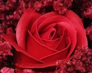 아가랑아지랑 | 구매후기 아가랑아지랑